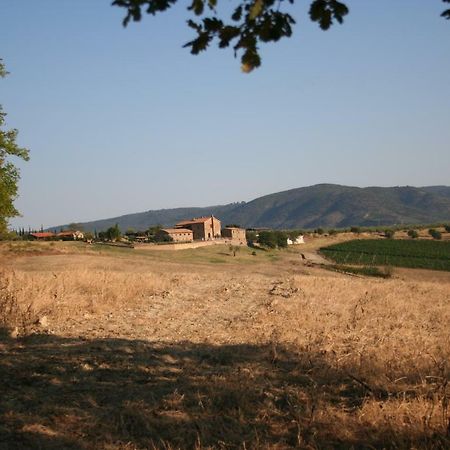 Agriturismo Podere Del Vescovo Montenero d'Orcia Eksteriør bilde