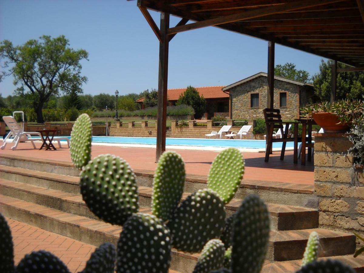 Agriturismo Podere Del Vescovo Montenero d'Orcia Eksteriør bilde