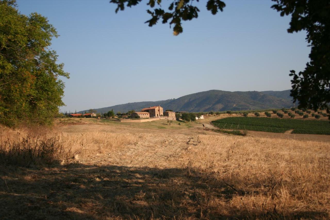 Agriturismo Podere Del Vescovo Montenero d'Orcia Eksteriør bilde