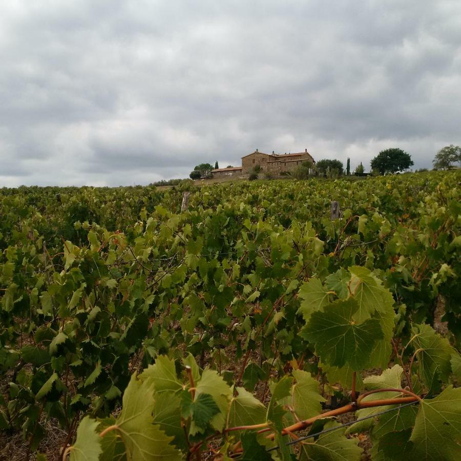 Agriturismo Podere Del Vescovo Montenero d'Orcia Eksteriør bilde