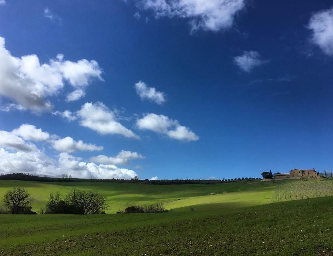 Agriturismo Podere Del Vescovo Montenero d'Orcia Eksteriør bilde